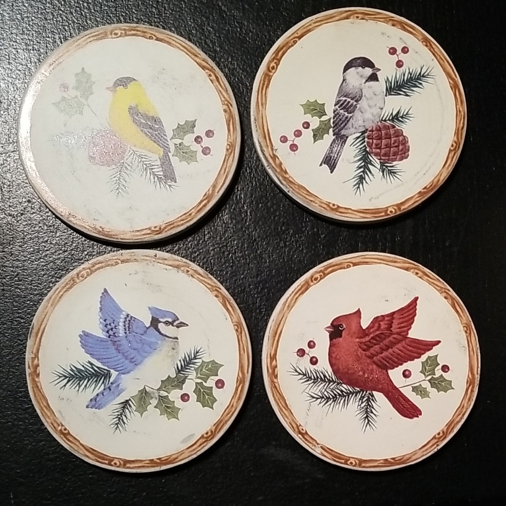 Set of 4 Bird Coasters Moisture Absorbing